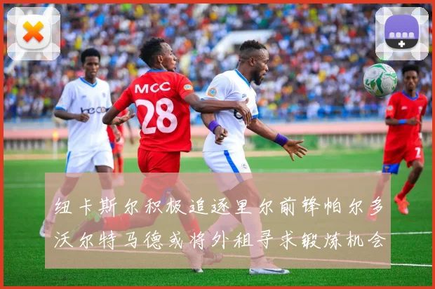 纽卡斯尔积极追逐里尔前锋帕尔多沃尔特马德或将外租寻求锻炼机会